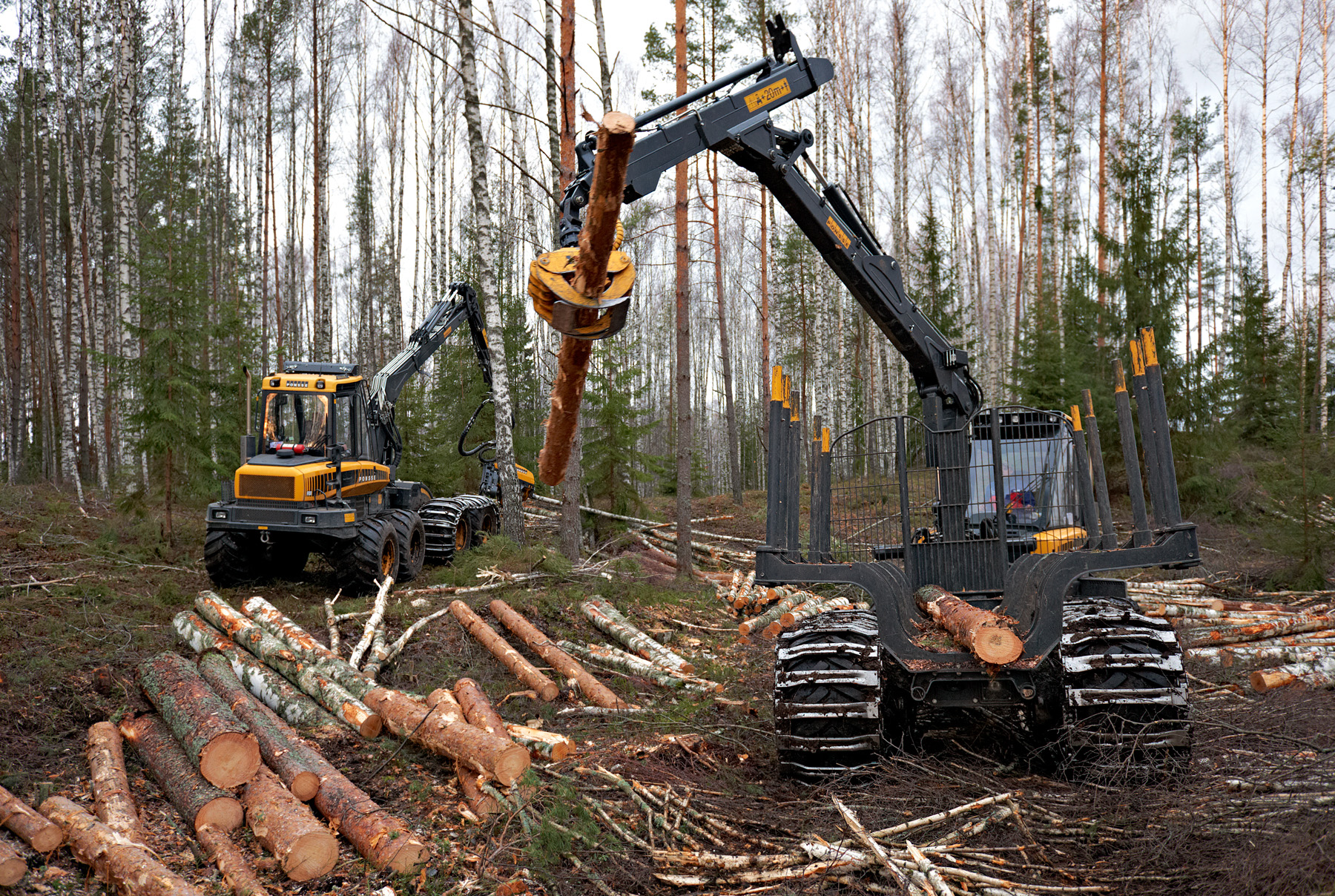 Iriscorpi tutvustus Iriscorp on Eesti kapitalil põhinev metsafirma, mis on saavutanud kohalikul turul märkimisväärse positsiooni, olles osa laiemast Combi grupi