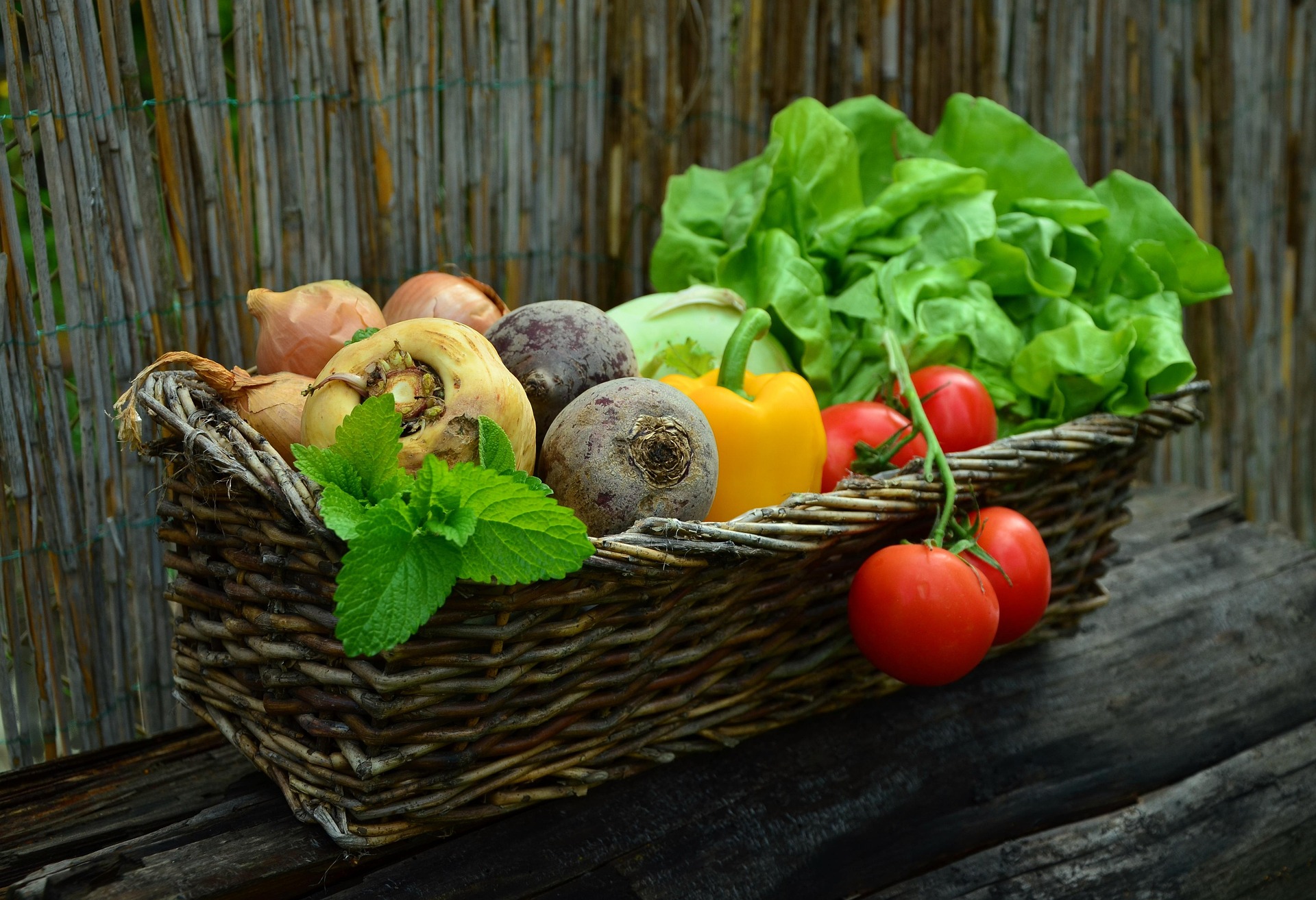 Maks ja immuunsus ei vaja detox-kuure, vaid rahu, rütmi ja päris toitu